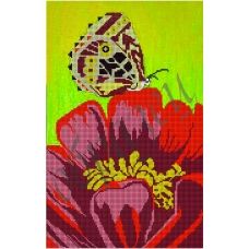 КМР-3054 Бабочка на красном цветке. Схема для вышивки бисером Краина Моих Мрий