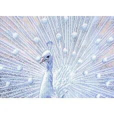 FV-136 (А3) Павлин. Схема для вышивки бисером СвитАрт