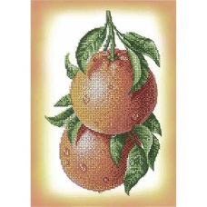 А4-К-1010 Грейпфруты. Схема для вышивки бисером ТМ Acorns