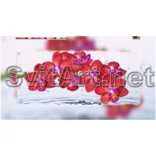 F-279a (29*60) ХОЛСТ. Орхидея. Схема для вышивки бисером СвитАрт