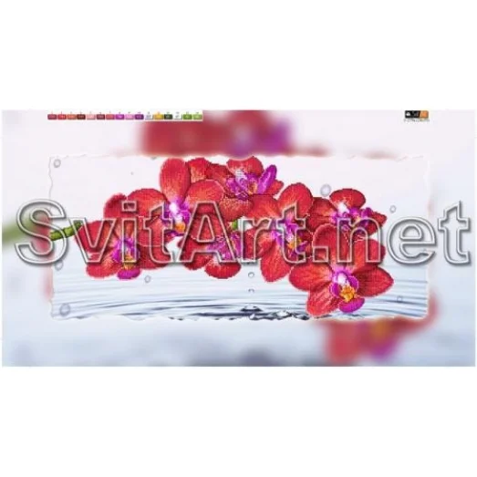 F-279a (29*60) ХОЛСТ. Орхидея. Схема для вышивки бисером СвитАрт