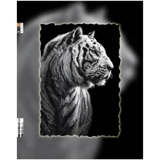 FV-118(А3) ХОЛСТ. Тигр. Схема для вышивки бисером. Свит Арт