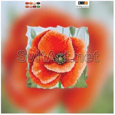 SI-585a(21*21) ХОЛСТ. Мак. Схема для вышивки бисером Свит Арт