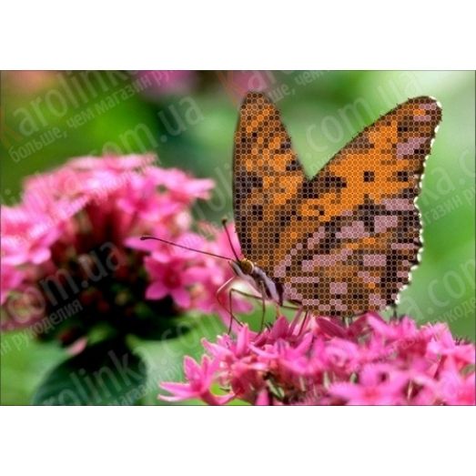 КБЦ-5002 Бабочка на цветке . Схема для вышивки бисером. Каролинка ТМ