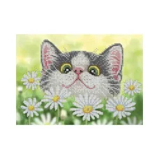 А5-Д-416 Кот в ромашках.Схема для вышивки бисером ТМ Acorns