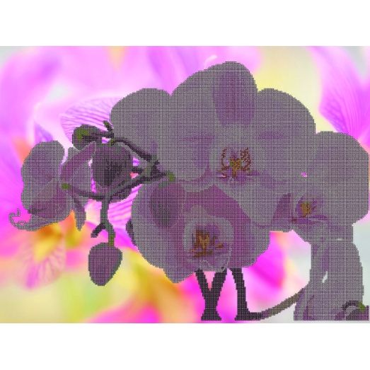 КМР-2018 Розовая орхидея. Схема для вышивки бисером Краина Моих Мрий