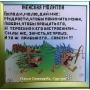 А-025 Женская молитва. Схема для вышивки бисером ТМ Орхидея