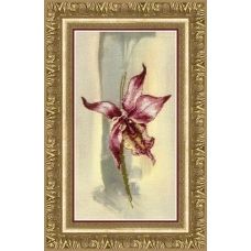 РК-111 Лиловая орхидея. Набор для вышивки крестом ТМ Чаривна Мить