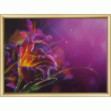 КС-169 Пурпурная лилия. Набор со стразами Чаривна Мить