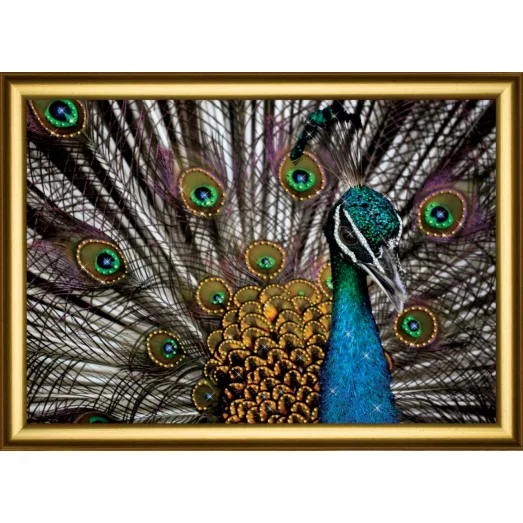 КС-1033 Павлин. Набор со стразами Чаривна Мить