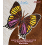 NBFL-027 Набор бабочка Марпезия Марселла на водорастворимом флизелине ТМ Вдохновение