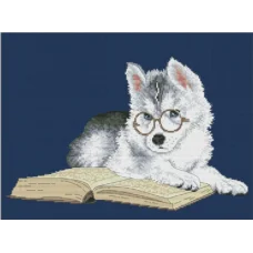 VN-151 Хаски (синяя канва) Набор для вышивки нитками. ТМ Olanta