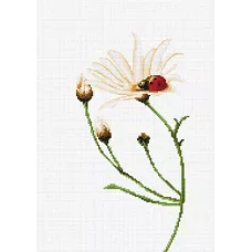 В2246 Общение. Набор для вышивки нитками. Luca-s