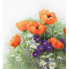 B2368 Маки. Набор для вышивки нитками. Luca-s