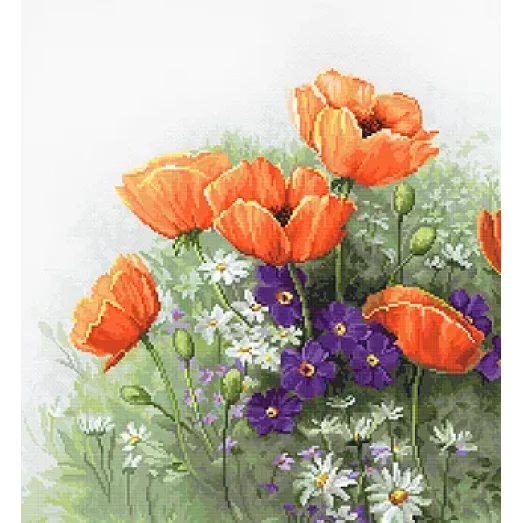 B2368 Маки. Набор для вышивки нитками. Luca-s