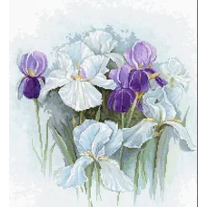 B2367 Ирисы. Набор для вышивки нитками. Luca-s