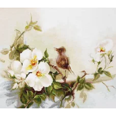 B2315 Птичка. Набор для вышивки нитками. Luca-s