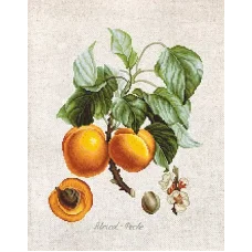 BL22450 Персики. Набор для вышивки нитками. Luca-s