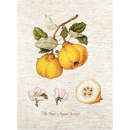 BА22430 Айва. Набор для вышивки нитками. Luca-s