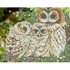 ФЧК-4126 Семейство совушек. Схема для вышивки бисером Феникс