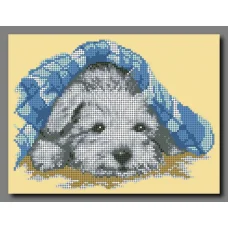 А-067 Щенок после душа. Схема для вышивки бисером ТМ Орхидея