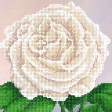 SI-576 (17*17) Белая роза. Схема для вышивки бисером СвитАрт