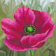 SI-585c Темно-фиолетовый мак. Схема для вышивки бисером СвитАрт