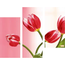 СК-002 Этюд в алых тонах. Схема для вышивки бисером ТМ Тела Артис