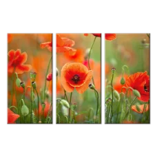 СК-003 Маковое поле. Схема для вышивки бисером ТМ Тела Артис