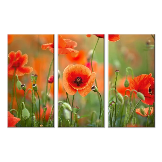 СК-003 Маковое поле. Схема для вышивки бисером ТМ Тела Артис