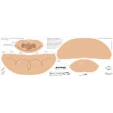 СТ-003 (1) Винтажные розы. Заготовка для вышивки бисером. ТМ Тела Артис