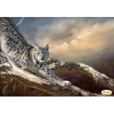 ТК-011 Рысь. Схема для вышивки бисером Тела Артис