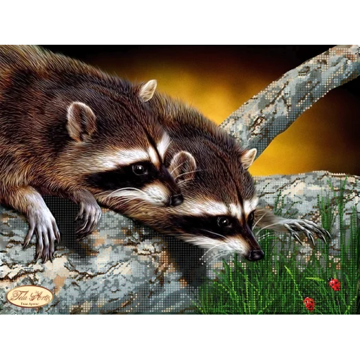 ТА-061 Любопытные еноты. Схема для вышивки бисером Тела Артис