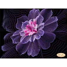 ТА-175 Элара. Схема для вышивки бисером Тела Артис