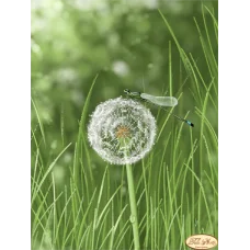 ТА-303 Одуванчик и стрекоза. Схема для вышивки бисером Тела Артис