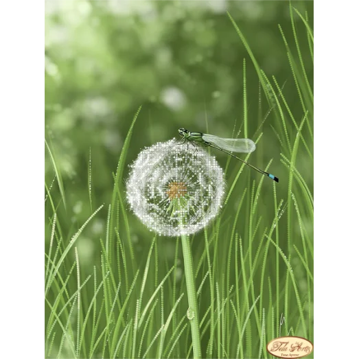 ТА-303 Одуванчик и стрекоза. Схема для вышивки бисером Тела Артис