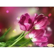 ТА-304 Тюльпаны Каравелла. Схема для вышивки бисером Тела Артис