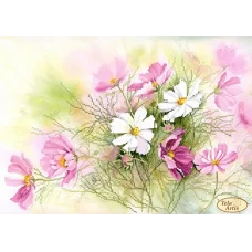 ТА-428 Космея. Схема для вышивки бисером Тела Артис