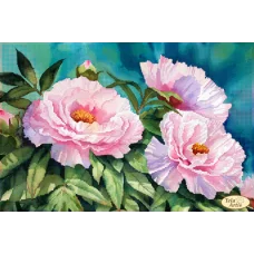 ТА-455 Нежные пионы. Схема для вышивки бисером Тела Артис
