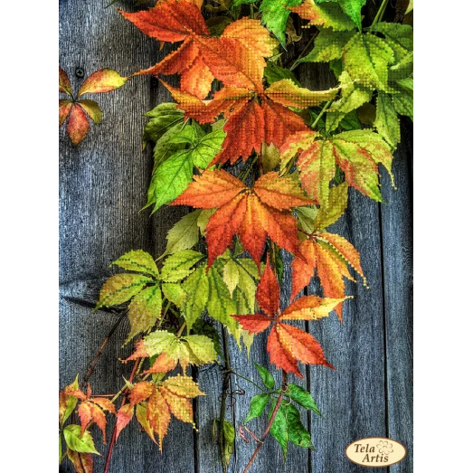 ТА-465 Дикий виноград. Схема для вышивки бисером Тела Артис