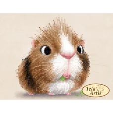 ТД-020 Морской свиненыш. Схема для вышивки бисером Тела Артис