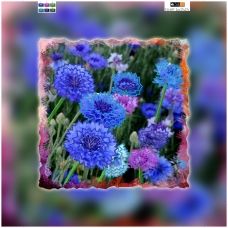 TG-037_2a(32*32) ХОЛСТ. Голубые цветы. Схема для вышивки бисером СвитАрт