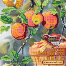 АС-485 Любитель яблок. Схема на художественном холсте Абрис Арт