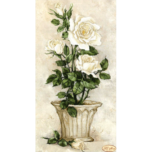 ТК-026 Белые розы. Схема для вышивки бисером Тела  Артис