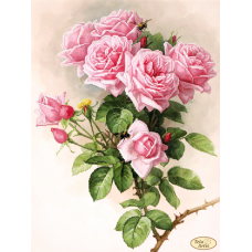 ТК-073 Английские розы. Схема для вышивки бисером Тела Артис