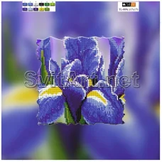 TL-009c(21*21) ХОЛСТ. Цветок. Схема для вышивки СвитАрт