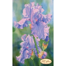 ТМ-013 Взмах крыла. Схема для вышивки бисером Тела Артис 