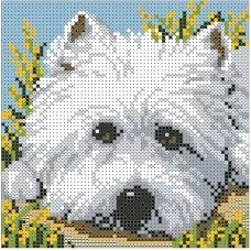 ФПК-5031 Тотошка. Схема для вышивки бисером Феникс