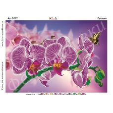 В-337 Орхидеи. Схема для вышивки бисером Фея Вышивки
