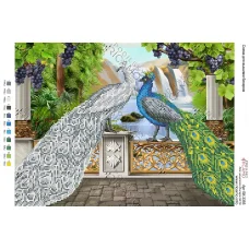 А3Н_125 БК-3355 Павлины. Схема для вышивки бисером ТМ Virena 